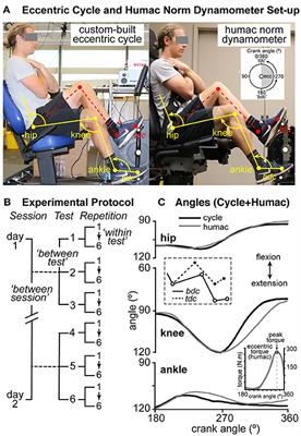Reliability of a Protocol to Elicit Peak Measures Generated by the Lower Limb for Semi-recumbent Eccentric Cycling